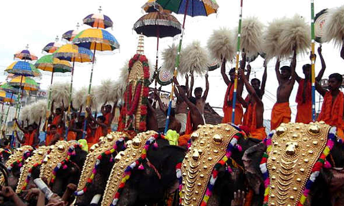 ആചാരങ്ങളുടെ മേലുള്ള കടന്നുകയറ്റം തുടർന്നാൽ ഉത്സവങ്ങളിൽ നിന്നും പിന്മാറും: ആനയുടമകൾ