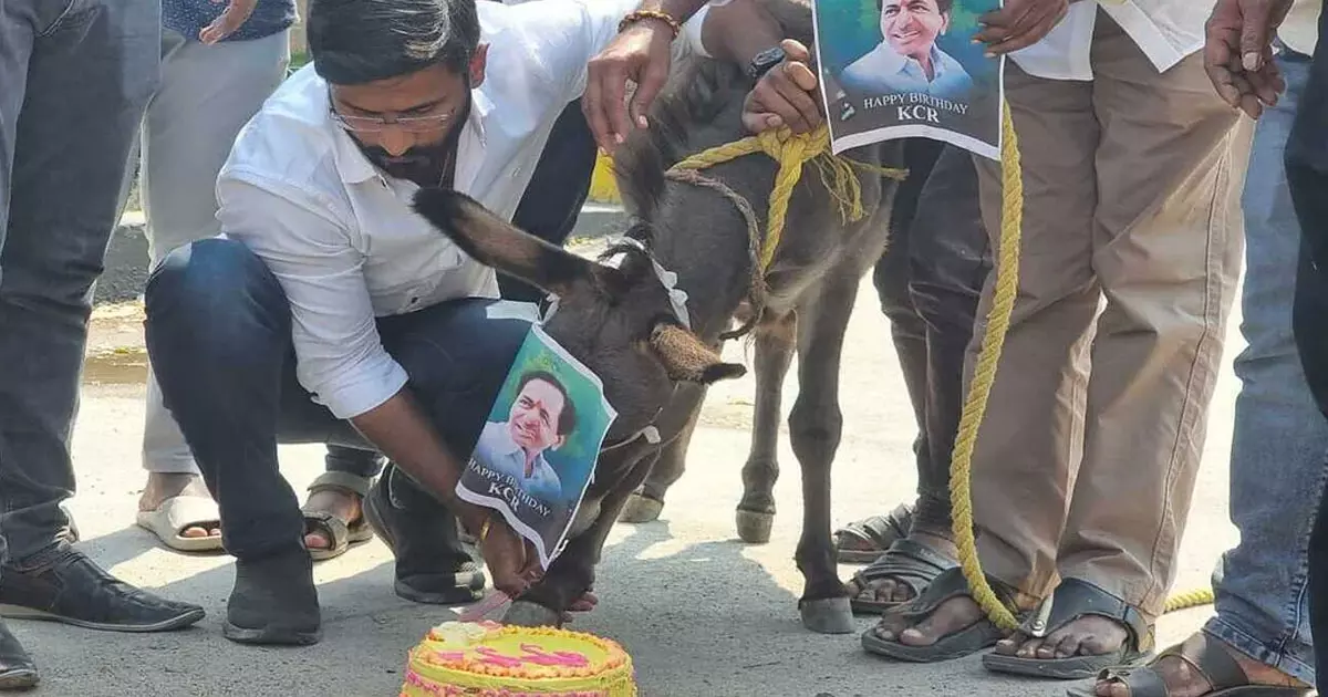 തെലങ്കാന മുഖ്യമന്ത്രിക്കെതിരെ പ്രതിഷേധം; കഴുതയെ മോഷ്ടിച്ചെന്ന പരാതിയില്‍ കോണ്‍ഗ്രസ് നേതാവ് അറസ്റ്റില്‍