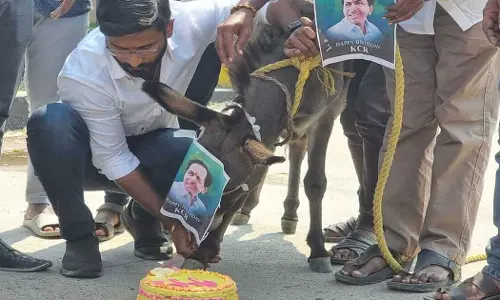 തെലങ്കാന മുഖ്യമന്ത്രിക്കെതിരെ പ്രതിഷേധം; കഴുതയെ മോഷ്ടിച്ചെന്ന പരാതിയില്‍ കോണ്‍ഗ്രസ് നേതാവ് അറസ്റ്റില്‍