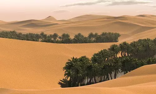 മരുഭൂമിയില്‍ കാട് തീർക്കാനൊരുങ്ങി കുവൈത്ത്;   വനവല്‍ക്കരണ പദ്ധതിക്ക് തുടക്കമായി