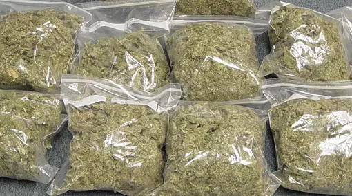 85 പാക്കറ്റുകളിലായി 191 കിലോ കഞ്ചാവ്; വടക്കഞ്ചേരിയിൽ വന് ലഹരിവേട്ട 85 പാക്കറ്റുകളിലായി 191 കിലോ കഞ്ചാവ്; വടക്കഞ്ചേരിയിൽ വന് ലഹരിവേട്ട