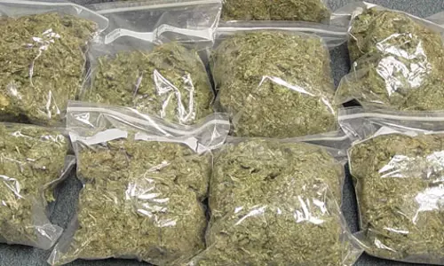 85 പാക്കറ്റുകളിലായി 191 കിലോ കഞ്ചാവ്; വടക്കഞ്ചേരിയിൽ വന്‍ ലഹരിവേട്ട