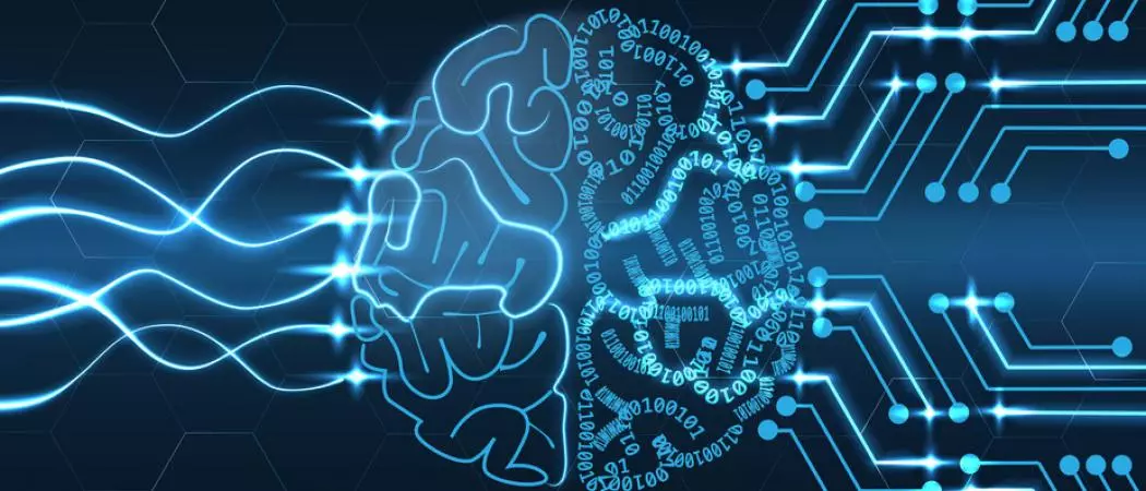 നിര്‍മിതബുദ്ധി, കോഡിങ് ലൈസന്‍സ്;   പുതിയ പ്രഖ്യാപനവുമായി യു.എ.ഇ