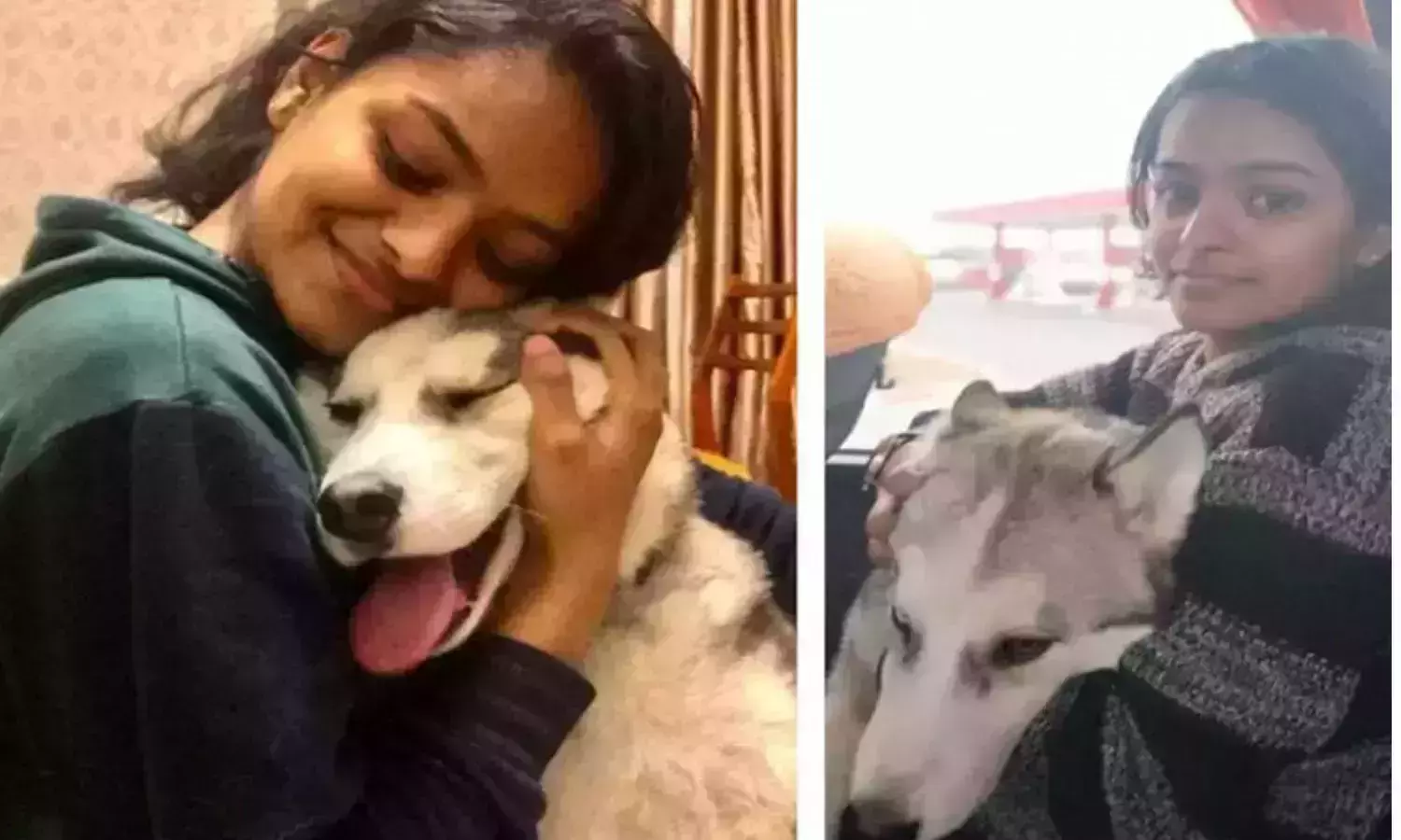 യുക്രൈനിൽ നിന്ന് വളർത്തുമൃഗങ്ങളെ കൊണ്ടുവന്നതിന് മോദിക്ക് നന്ദി പറഞ്ഞ് മൃഗസ്‌നേഹി സംഘടന