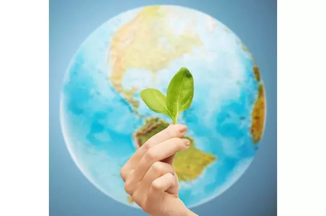 പരിസ്ഥിതി വാരാചരണത്തിനു തുടക്കമായി പരിസ്ഥിതി വാരാചരണത്തിനു തുടക്കമായി