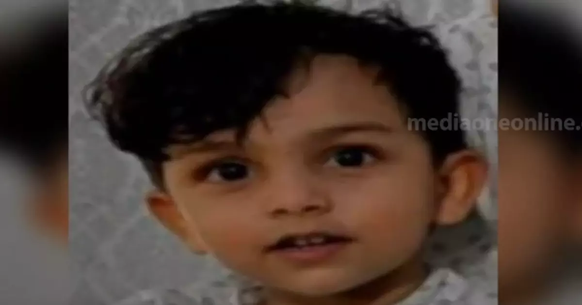 കോട്ടയത്ത് വീടിന്റെ ഗേറ്റ് വീണ് മൂന്നു വയസുകാരൻ മരിച്ചു കോട്ടയത്ത് വീടിന്റെ ഗേറ്റ് വീണ് മൂന്നു വയസുകാരൻ മരിച്ചു