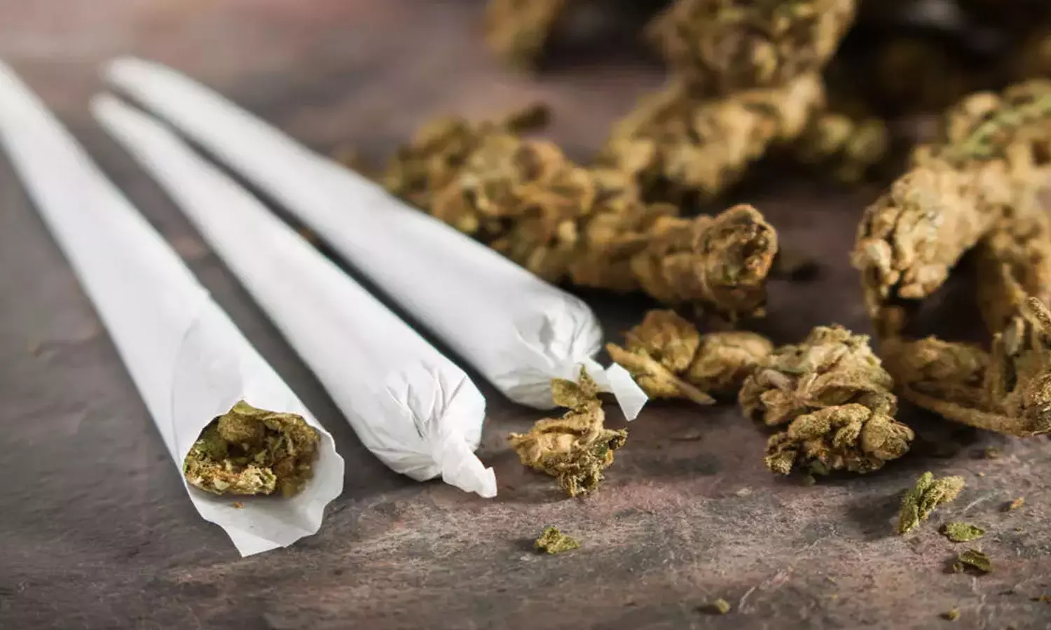 നാദാപുരത്ത് മയക്കുമരുന്ന് ഉൽപന്നങ്ങൾ പിടികൂടി നാദാപുരത്ത് മയക്കുമരുന്ന് ഉൽപന്നങ്ങൾ പിടികൂടി