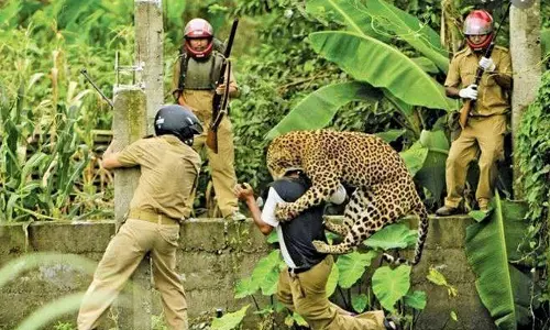 വന്യമൃഗ ആക്രമണം; നഷ്ടപരിഹാരത്തിന് 25 കോടി, ഏഴ് കോടി ആക്രമണത്തിൽ മരിച്ചവർക്ക്