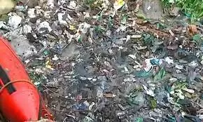 കോട്ടയത്തെ പാറമടയിൽ ലോറി മറിഞ്ഞ് അപകടം; ഡ്രൈവറുടെ മൃതദേഹം കണ്ടെത്തി