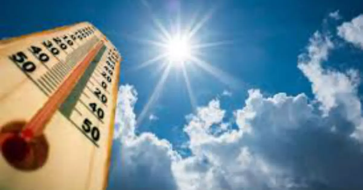 പുനലൂരിൽ നഗരസഭാംഗത്തിന് സൂര്യാതപമേറ്റു പുനലൂരിൽ നഗരസഭാംഗത്തിന് സൂര്യാതപമേറ്റു