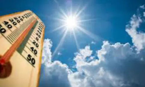 പുനലൂരിൽ നഗരസഭാംഗത്തിന് സൂര്യാതപമേറ്റു പുനലൂരിൽ നഗരസഭാംഗത്തിന് സൂര്യാതപമേറ്റു