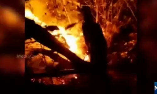 സൈലൻറ് വാലിയിലെ കാട്ടുതീ മനുഷ്യ നിർമ്മിതമാണെന്ന് വൈൽഡ് ലൈഫ് വാർഡൻ