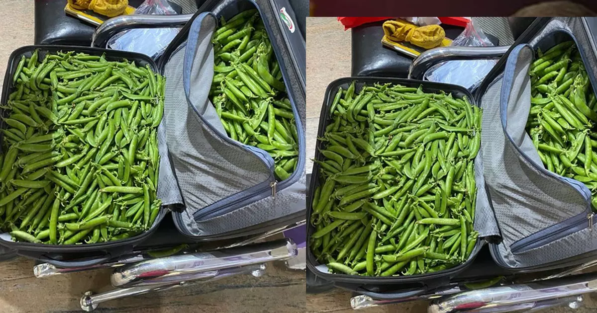 നിങ്ങൾക്ക് ഊഹിക്കാനാകില്ല, എയർപോർട്ടിൽ ഐപിഎസ്സുകാരന്റെ ബാഗ് തുറന്നപ്പോൾ കണ്ട കാഴ്ച നിങ്ങൾക്ക് ഊഹിക്കാനാകില്ല, എയർപോർട്ടിൽ ഐപിഎസ്സുകാരന്റെ ബാഗ് തുറന്നപ്പോൾ കണ്ട കാഴ്ച