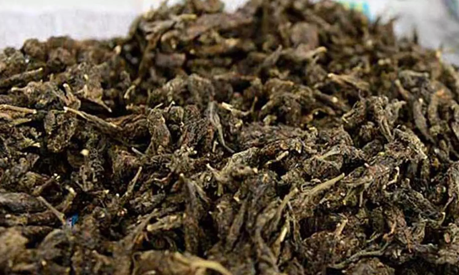 വാളയാറില് വന് കഞ്ചാവ് വേട്ട; 170 കിലോ കഞ്ചാവുമായി മൂന്ന് പേർ പിടിയിൽ വാളയാറില് വന് കഞ്ചാവ് വേട്ട; 170 കിലോ കഞ്ചാവുമായി മൂന്ന് പേർ പിടിയിൽ