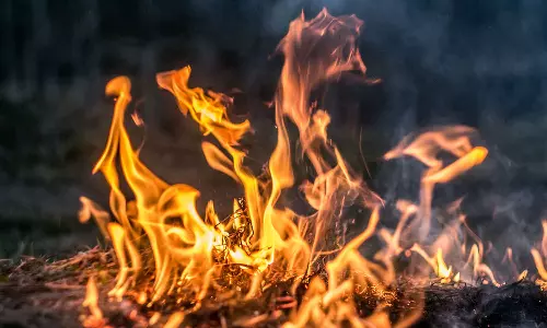 പത്തനംതിട്ട അയ്യപ്പൻമാർ സഞ്ചരിച്ച വാൻ കത്തി നശിച്ചു