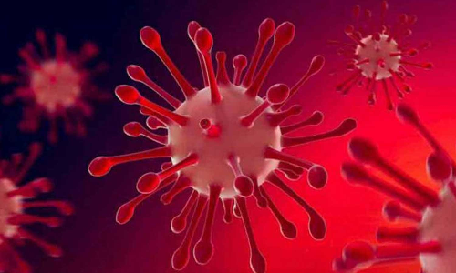 ഡൽഹിയിൽ ഒമിക്രോണിന്റെ പുതിയ വകഭേദം ?