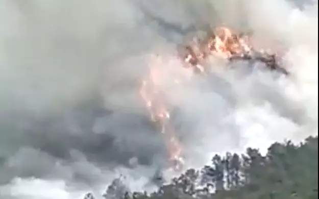 ചൈനയിൽ 133 യാത്രക്കാരുമായി പുറപ്പെട്ട വിമാനം തകർന്നുവീണു; ആളിപ്പടര്‍ന്ന് തീ