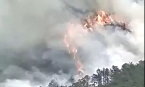 ചൈനയിൽ 133 യാത്രക്കാരുമായി പുറപ്പെട്ട വിമാനം തകർന്നുവീണു; ആളിപ്പടര്‍ന്ന് തീ