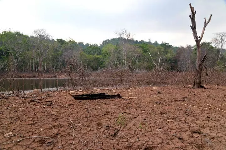 സംസ്ഥാനം കടുത്ത വരള്‍ച്ചയിലേക്കോ? വേനല്‍മഴയിൽ 33 ശതമാനത്തിന്‍റെ കുറവുണ്ടെന്ന് കണക്ക്