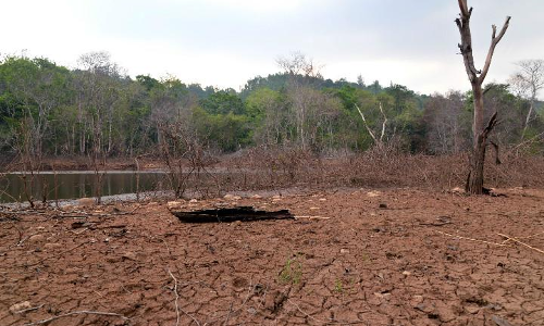 സംസ്ഥാനം കടുത്ത വരള്‍ച്ചയിലേക്കോ? വേനല്‍മഴയിൽ 33 ശതമാനത്തിന്‍റെ കുറവുണ്ടെന്ന് കണക്ക്