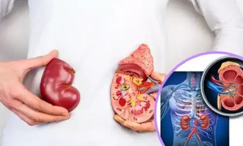 സ്ത്രീകൾ സൂക്ഷിക്കണം; വൃക്കരോഗങ്ങൾ അറിയാതെ പോകരുത്