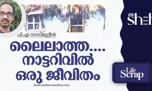 ലൈലാത്ത.... നാട്ടറിവിൽ ഒരു ജീവിതം