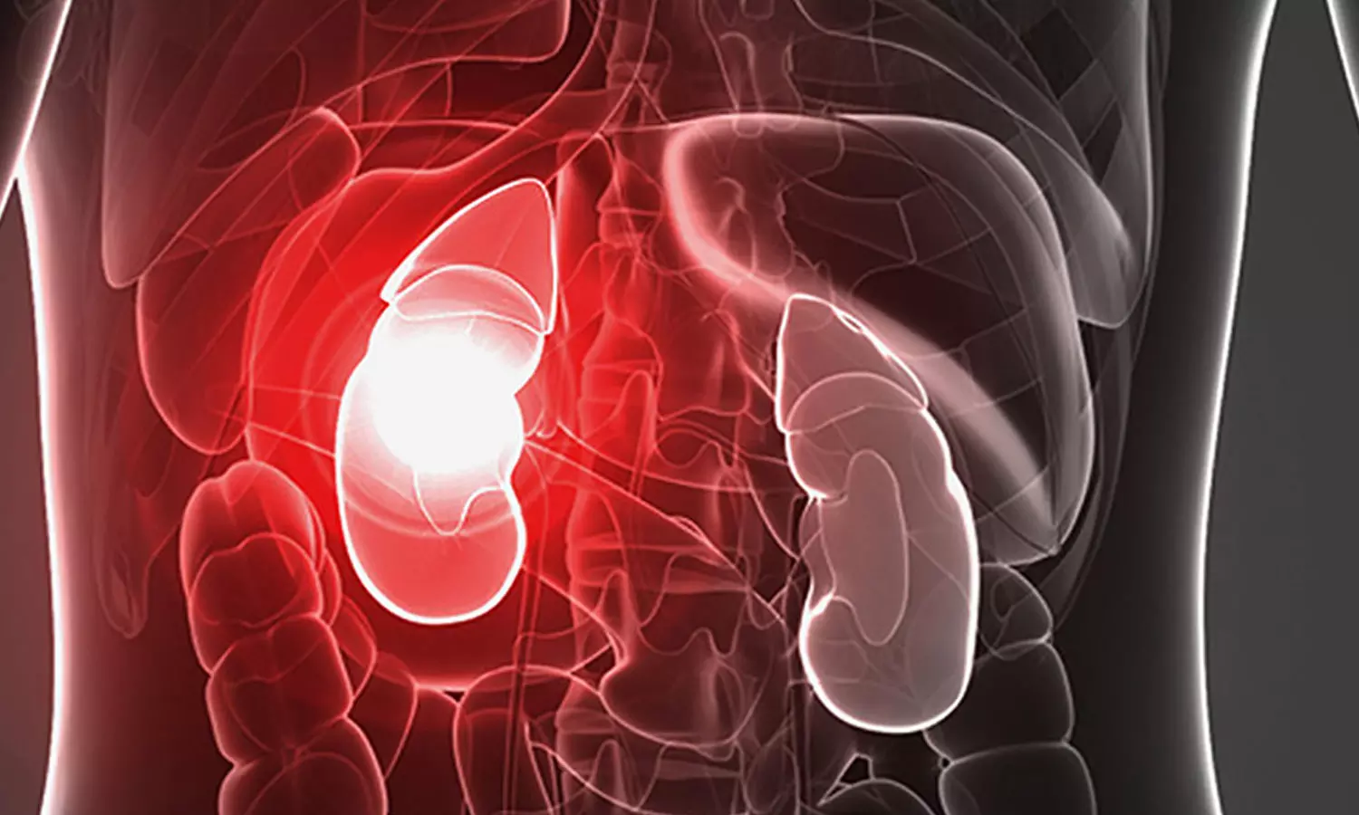 കിഡ്നി രോഗം നിസാരമല്ല; ഈ ലക്ഷണങ്ങൾ ശ്രദ്ധിക്കണം