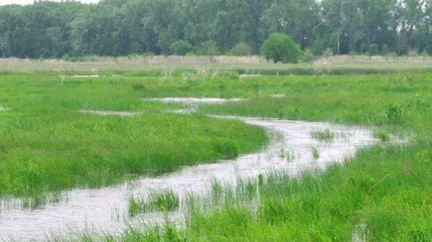 2008ന് ശേഷം വാങ്ങിയ വയലുകള് വീട് വയ്ക്കാന് നികത്താനാകില്ലെന്ന് ഹൈക്കോടതി 2008ന് ശേഷം വാങ്ങിയ വയലുകള് വീട് വയ്ക്കാന് നികത്താനാകില്ലെന്ന് ഹൈക്കോടതി