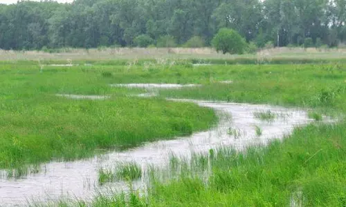 2008ന് ശേഷം വാങ്ങിയ വയലുകള് വീട് വയ്ക്കാന് നികത്താനാകില്ലെന്ന് ഹൈക്കോടതി 2008ന് ശേഷം വാങ്ങിയ വയലുകള് വീട് വയ്ക്കാന് നികത്താനാകില്ലെന്ന് ഹൈക്കോടതി