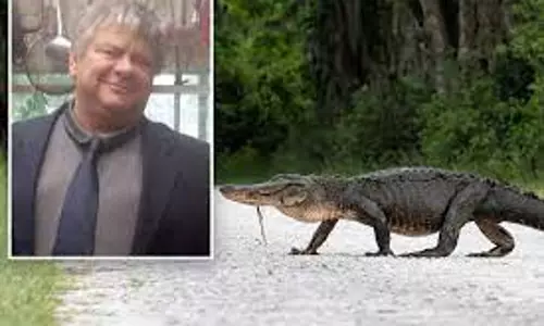 11അടി നീളമുള്ള ചീങ്കണ്ണിയില്‍ തട്ടി കാര്‍ മറിഞ്ഞു; ഡ്രൈവര്‍ക്ക് ദാരുണാന്ത്യം