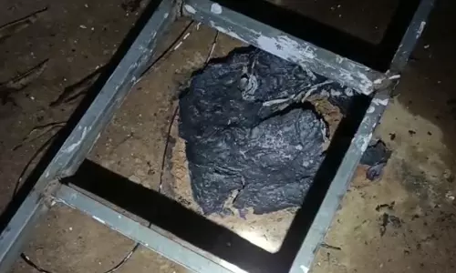 യുവതിയെ തീകൊളുത്തി കൊല്ലാൻ ശ്രമം; യുവാവ് പൊള്ളലേറ്റ് മരിച്ചു