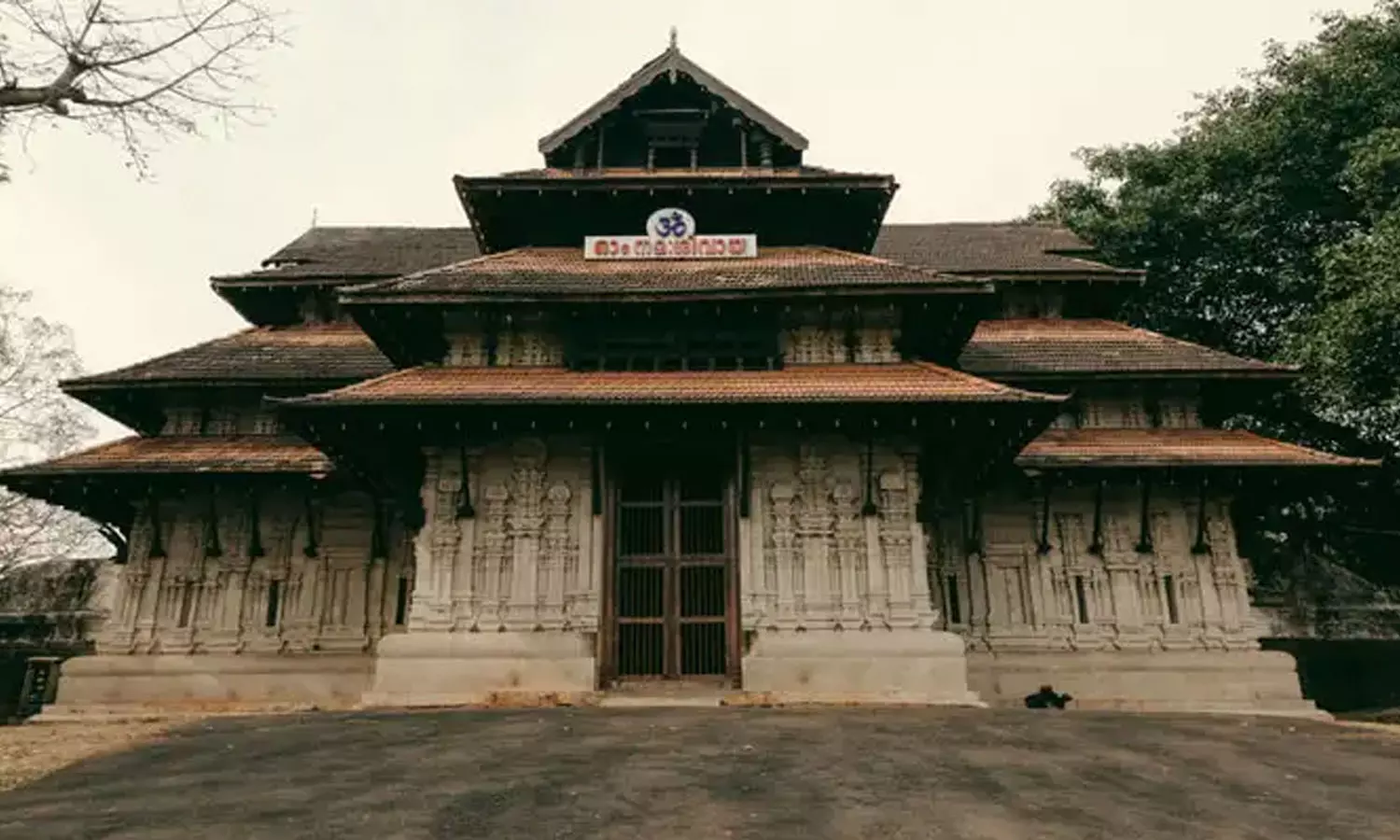 വടക്കുന്നാഥന് 100 പവന്റെ പൊന്നാനയും ഒരുകോടി രൂപയും കാണിക്കയർപ്പിച്ച് ഭക്തൻ