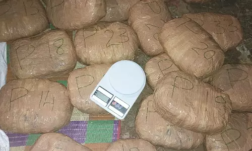 ആലുവ കോമ്പാറയിൽ വൻ കഞ്ചാവ് വേട്ട; നാലുപേർ പിടിയിൽ