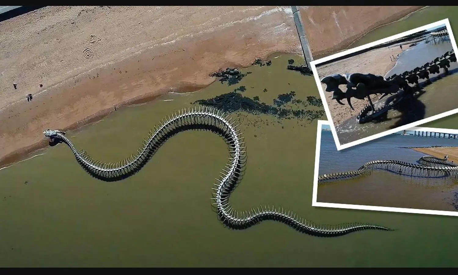 ഫ്രാൻസിലെ ഭീമന്‍ പാമ്പിന്റെ അസ്ഥികൂടം ഗൂഗിൾ മാപ്പിലും; വീഡിയോ വൈറൽ