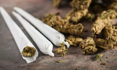 അതിർത്തി വഴി കേരളത്തിലേയ്ക്ക് കടത്താൻ ശ്രമിച്ച 225 കിലോ കഞ്ചാവ് പിടികൂടി