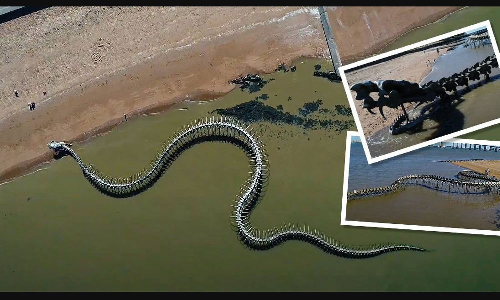 ഫ്രാൻസിലെ ഭീമന്‍ പാമ്പിന്റെ അസ്ഥികൂടം ഗൂഗിൾ മാപ്പിലും; വീഡിയോ വൈറൽ