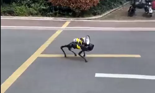 സംസാരിക്കുന്ന പ്രാണിയോ? ഇതെന്ത് വിചിത്ര ജീവി ?