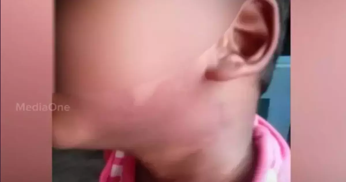 പാലക്കാട്ട് കുട്ടികൾ അതിക്രമത്തിന് ഇരയായ സംഭവം; പരാതി പൊലീസിന് കൈമാറിയതായി ജില്ലാ കലക്ടർ