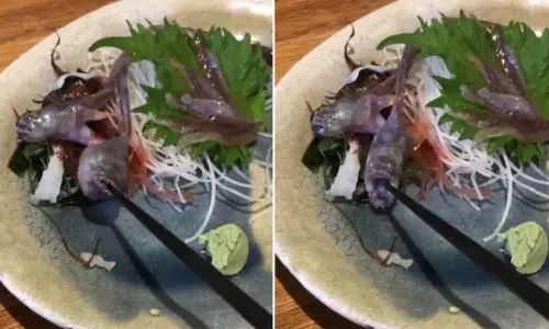 ജപ്പാനിലെ റെസ്‌റ്റോറന്റിൽ വിളമ്പുന്നത് ജീവനുള്ള മത്സ്യം; ഇതാണ് ഫ്രഷ് ഫുഡ്