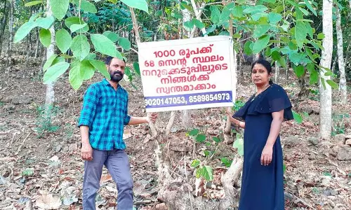 തൃശൂരിൽ 1000 രൂപക്ക്  68 സെന്റ്; ഭാഗ്യപരീക്ഷണത്തിന് ദമ്പതികൾ