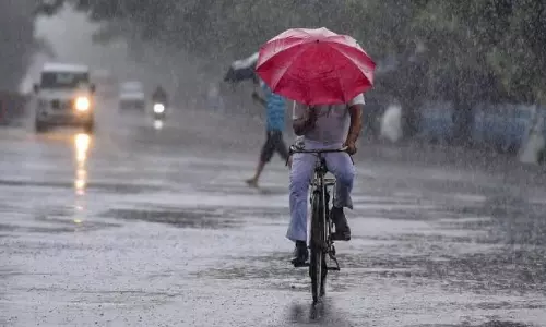 തെക്കൻ ജില്ലകളില്‍ ശക്തമായ മഴ; തിരുവനന്തപുരത്തും കൊല്ലത്തും മരങ്ങള്‍ കടപുഴകി വീണു