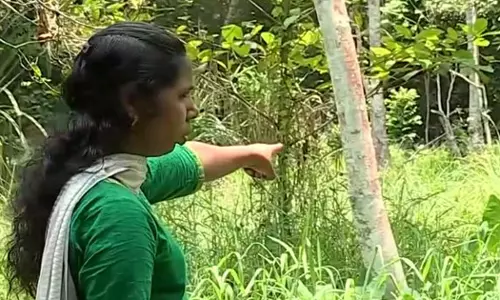 വാസയോഗ്യമല്ലാത്ത സ്ഥലം നൽകി ദലിത് കുടുംബങ്ങളെ വഞ്ചിച്ചെന്ന് പരാതി