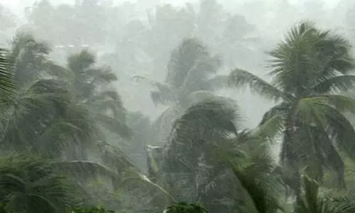 കനത്ത മഴ; കോഴിക്കോട് തെങ്ങ് കടപുഴകി വീട് തകർന്നു