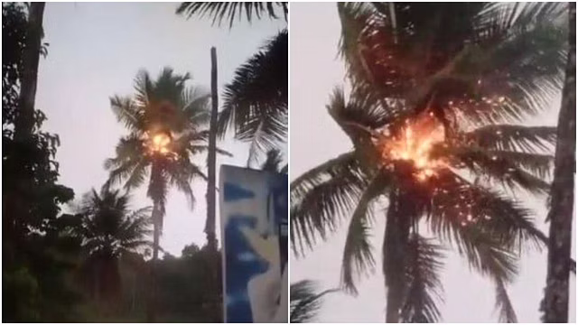 ഇടിമിന്നലേറ്റ് തെങ്ങിന് തീ പിടിച്ചു; തൊട്ടടുത്ത് പെട്രോള്‍ പമ്പ്, ഒഴിവായത് വന്‍ദുരന്തം