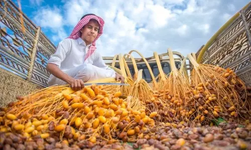 സൗദി ഈന്തപ്പഴങ്ങളുടെ ആഗോളവിപണനത്തിനായി ഡിജിറ്റല് വിപണിയൊരുങ്ങുന്നു സൗദി ഈന്തപ്പഴങ്ങളുടെ ആഗോളവിപണനത്തിനായി ഡിജിറ്റല് വിപണിയൊരുങ്ങുന്നു