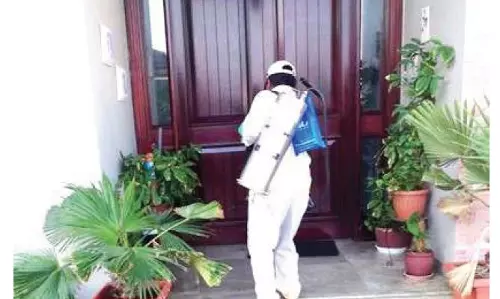 ഡെങ്കിപ്പനി; ഒമാനില്‍ കൊതുക് നശീകരണം ശക്തമാക്കി