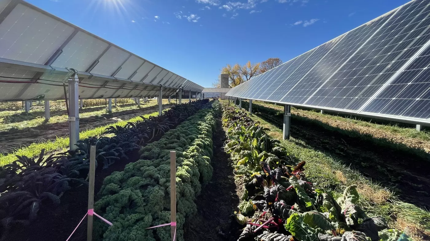ബഹ്റൈനിലെ കാർഷിക തോട്ടങ്ങളിൽ സൗരോർജ്ജം ഉപയോഗ​പ്പെടുത്തും