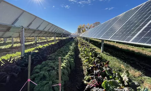 ബഹ്റൈനിലെ കാർഷിക തോട്ടങ്ങളിൽ സൗരോർജ്ജം ഉപയോഗ​പ്പെടുത്തും