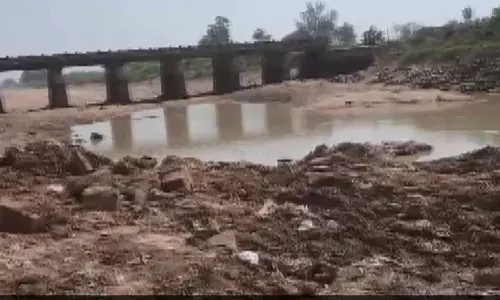 പട്ടാപ്പകൽ പാലം കടത്തിക്കൊണ്ടുപോയത് ഉദ്യോഗസ്ഥന്റെ അറിവോടെ; ആദ്യം പിടിയിലായത് പരാതി നൽകിയ ആൾ