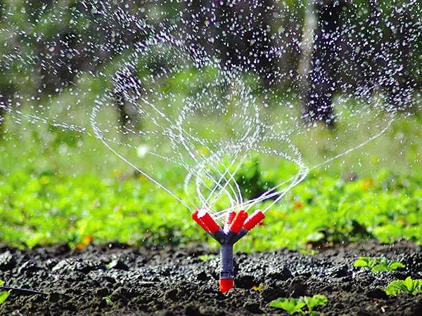 കാര്ഷിക ഫാമുകളിലേക്കുള്ള ജലവിതരണം ഉറപ്പാക്കുന്നതിനായി നടപടികള് ആരംഭിച്ചു കാര്ഷിക ഫാമുകളിലേക്കുള്ള ജലവിതരണം ഉറപ്പാക്കുന്നതിനായി നടപടികള് ആരംഭിച്ചു